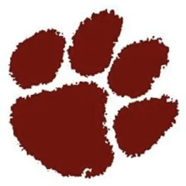 Asheville High Esports